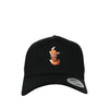 EinfachFox- Snapback curved