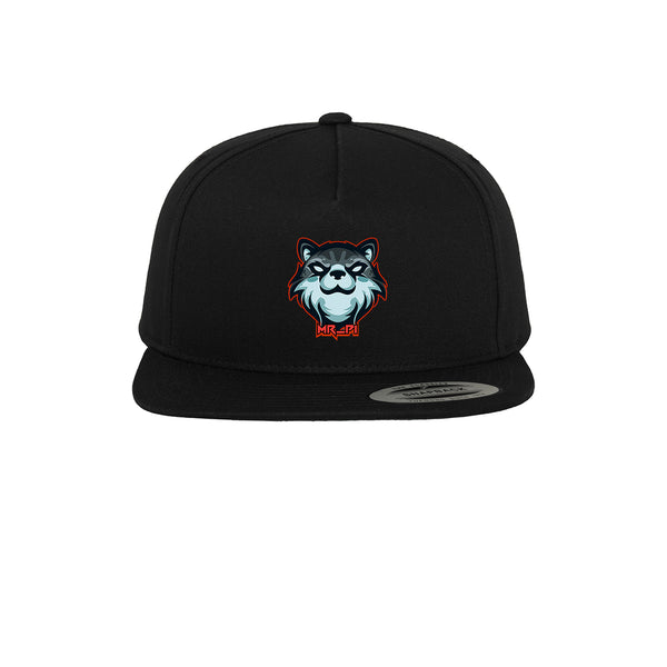 Mr_P1offical - Snapback