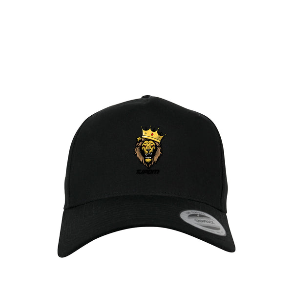 TjPdm - Snapback curved