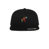 Plauzibaer36 - Snapback